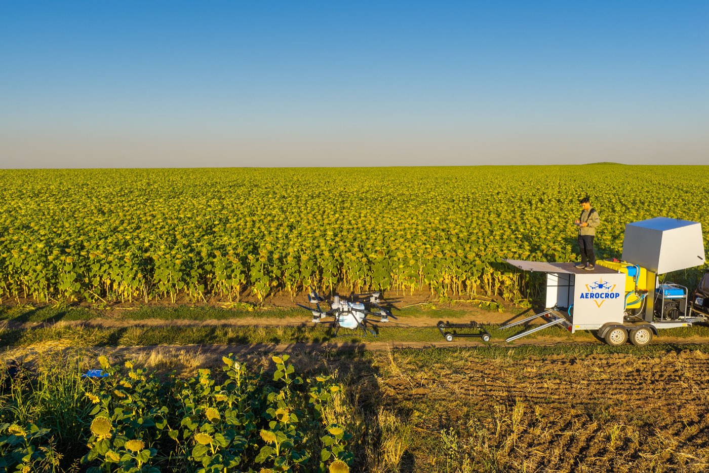 Fertilizare foliară din zbor, peste floarea-soarelui