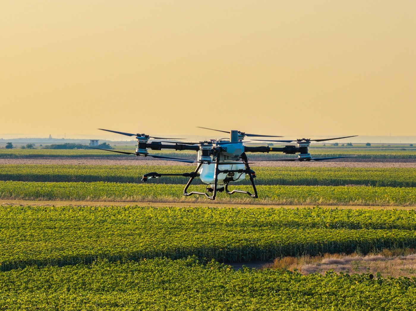 DJI Agras T100 la tratament, deasupra culturii
